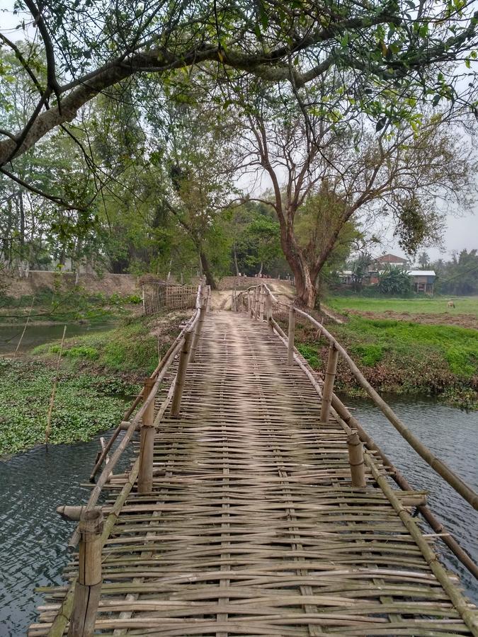 Yagdrasill Bamboo Cottage Bamungaon エクステリア 写真